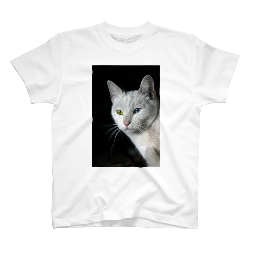 シッポ追いの猫写真店のオッドアイ スタンダードTシャツ