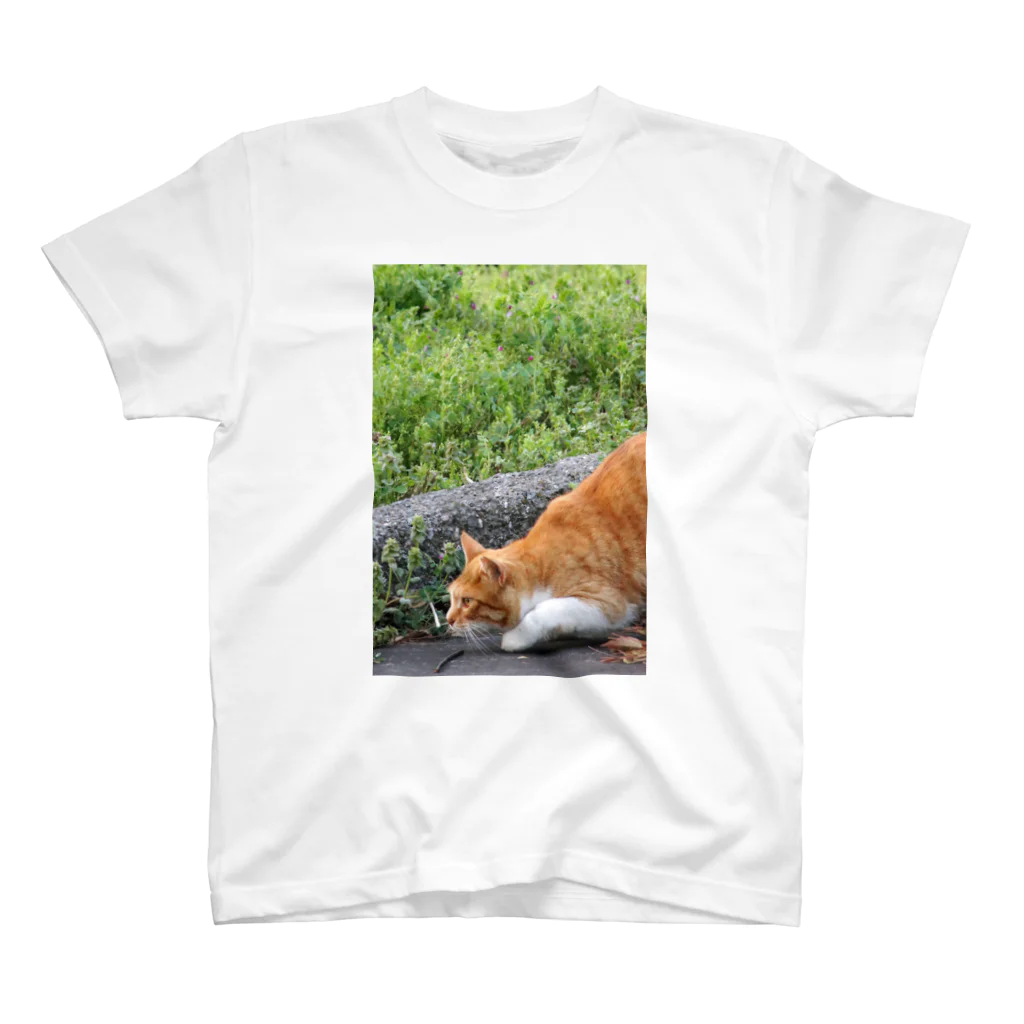 シッポ追いの猫写真店のロックオン！ スタンダードTシャツ