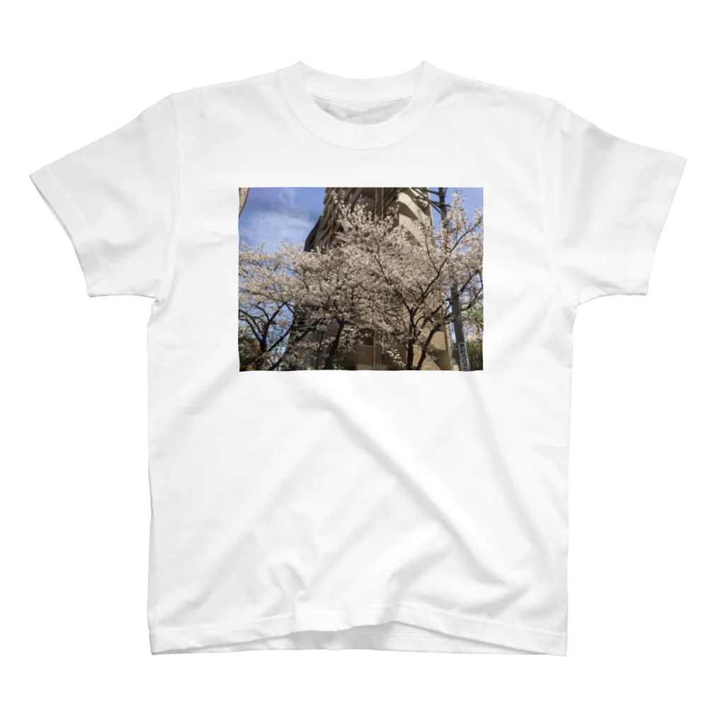 無軌道計画の桜の或る風景 スタンダードTシャツ