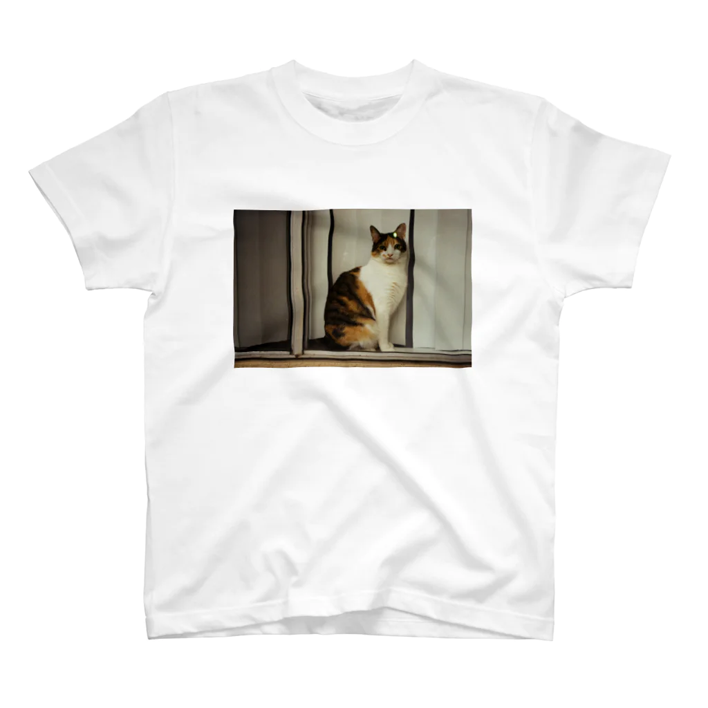 PALMLOVERSの猫のフォト スタンダードTシャツ