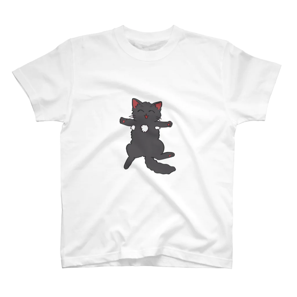 リリカルおとうふマンのねこはみんなねこ スタンダードTシャツ