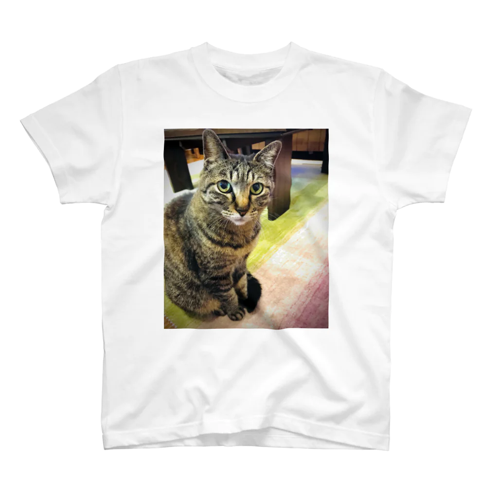 さざなみのわたしのねこ Regular Fit T-Shirt