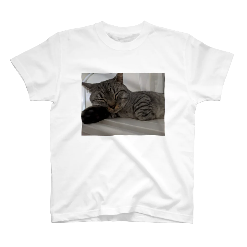 ひとみちゃんの猫ちゃんのおやすみ殿ちゃん Regular Fit T-Shirt