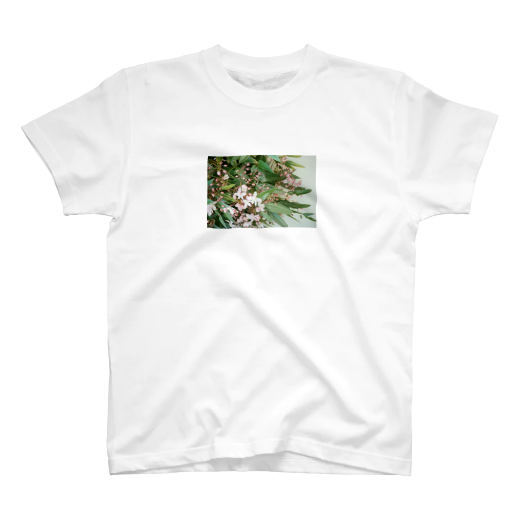 内田紗世の四谷三丁目の花 スタンダードTシャツ