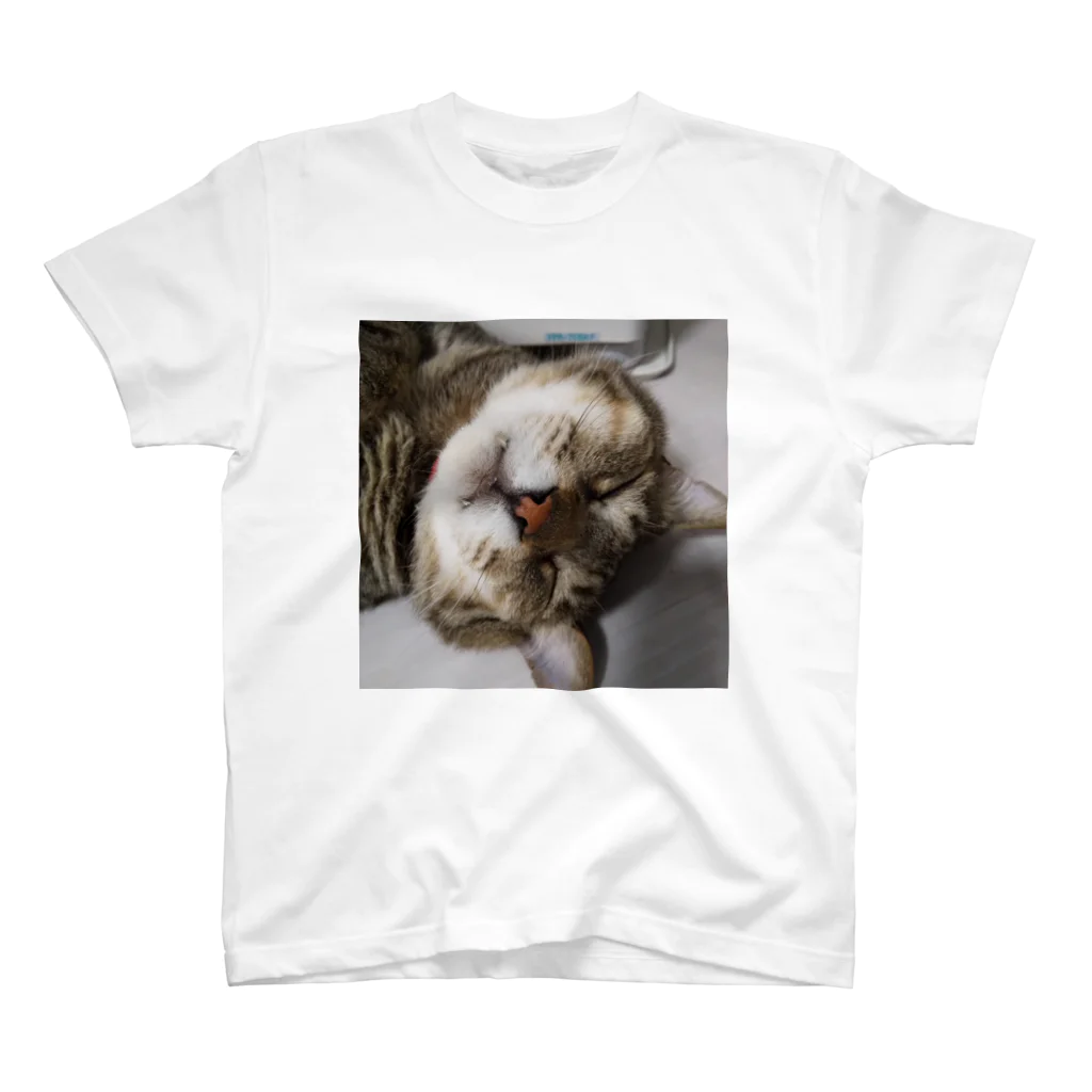 shop/jinショップジンのおでぶ猫こころくん Regular Fit T-Shirt