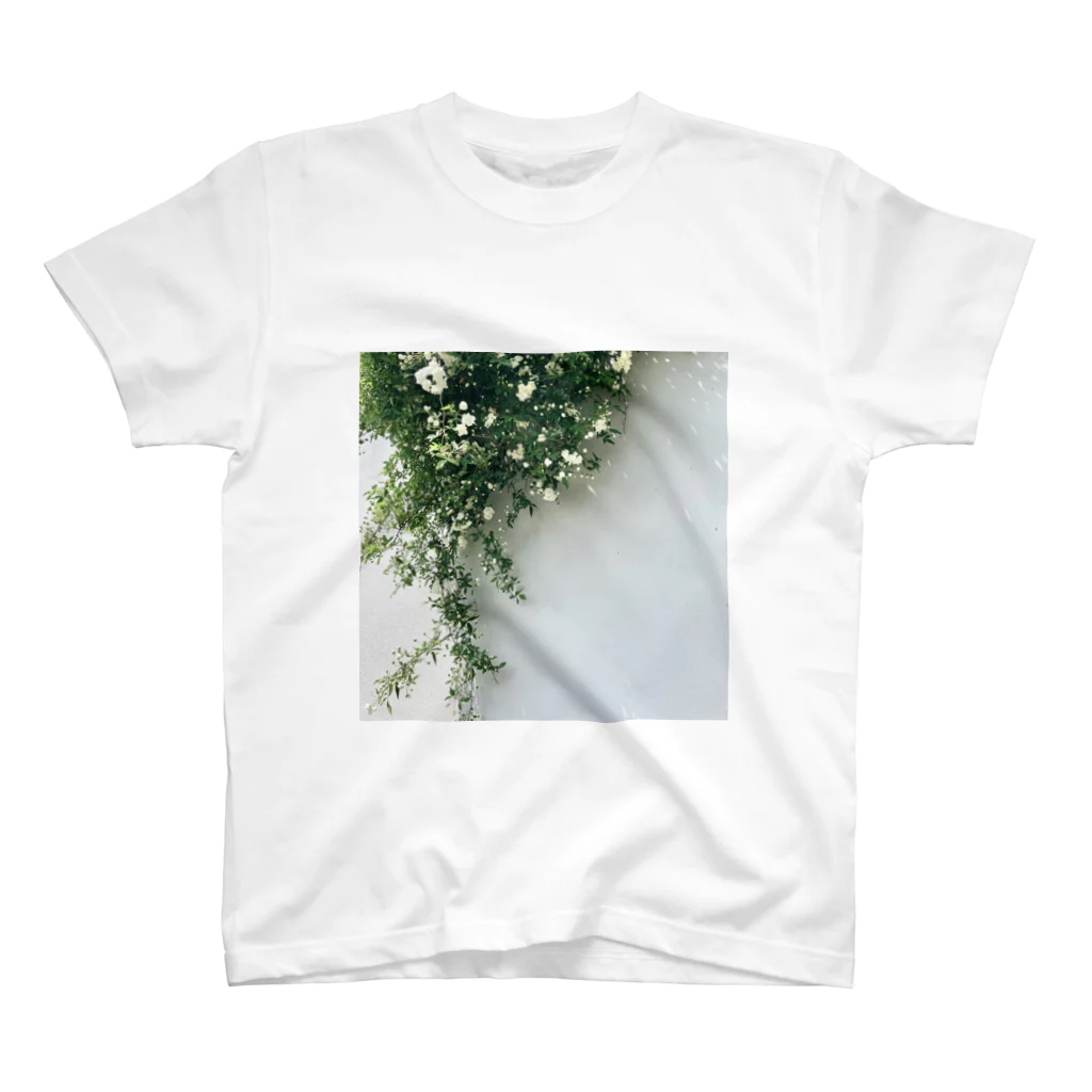 ampluieの木香薔薇 スタンダードTシャツ