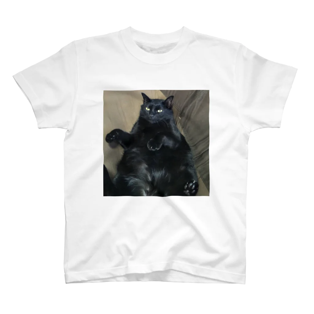 saachan1の神社にいた猫福ちゃん Regular Fit T-Shirt