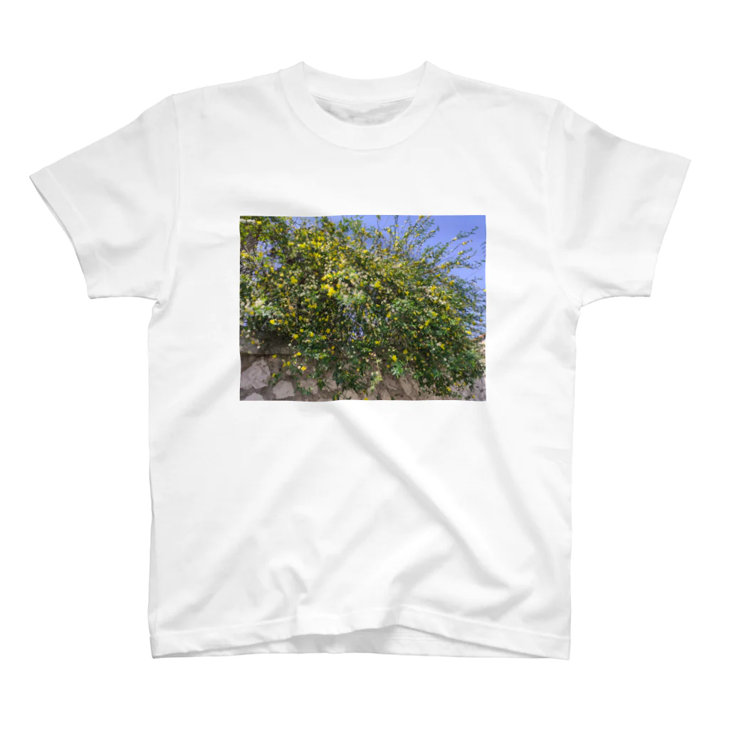 tkcoooのFleurs de Marseille Regular Fit T-Shirt