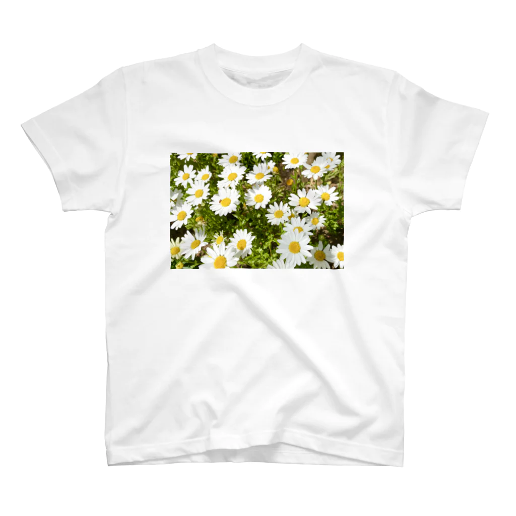 Design_850のspring スタンダードTシャツ