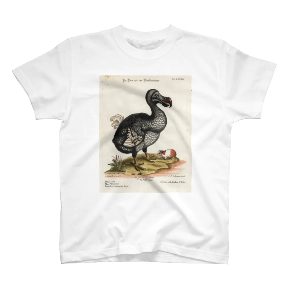 J. Jeffery Print Galleryの絶滅の鳥　ドードー スタンダードTシャツ