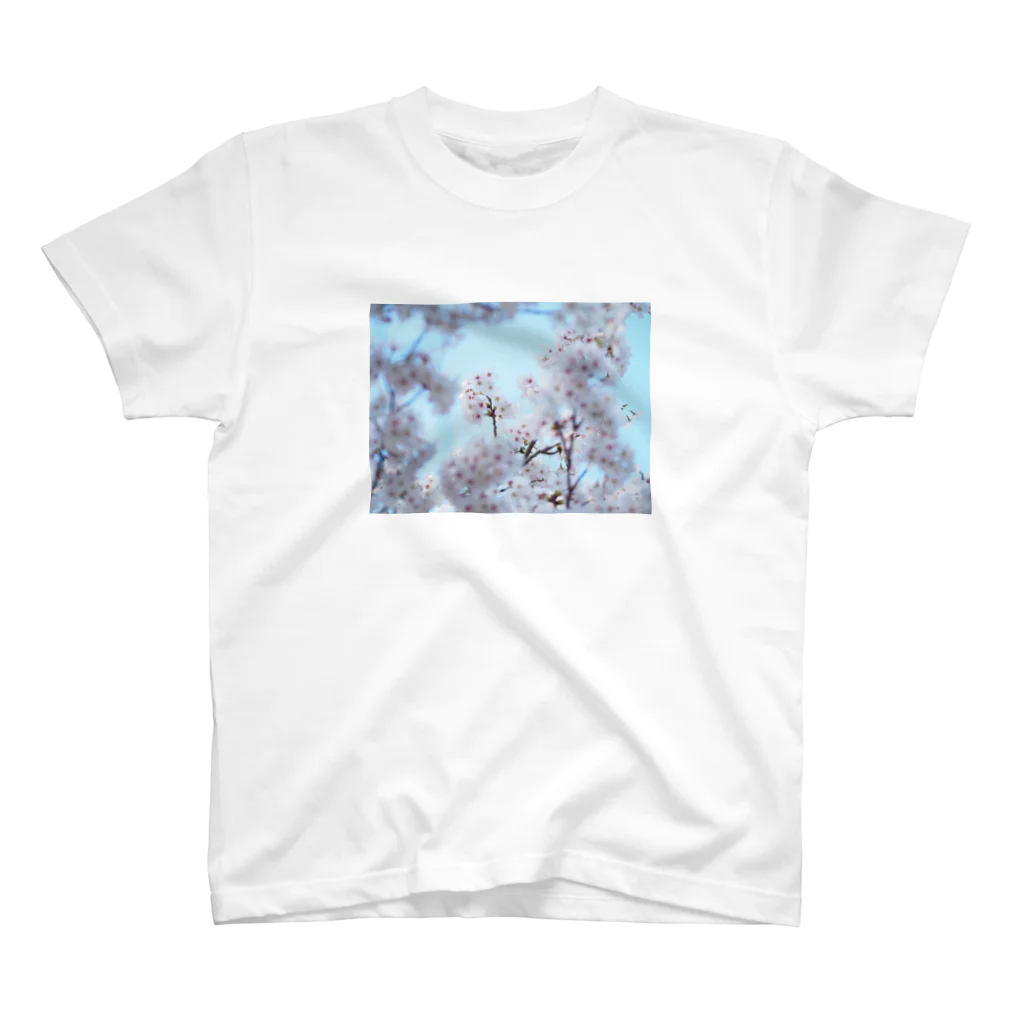 KOUTA TANIGUCHIのsakura2 スタンダードTシャツ