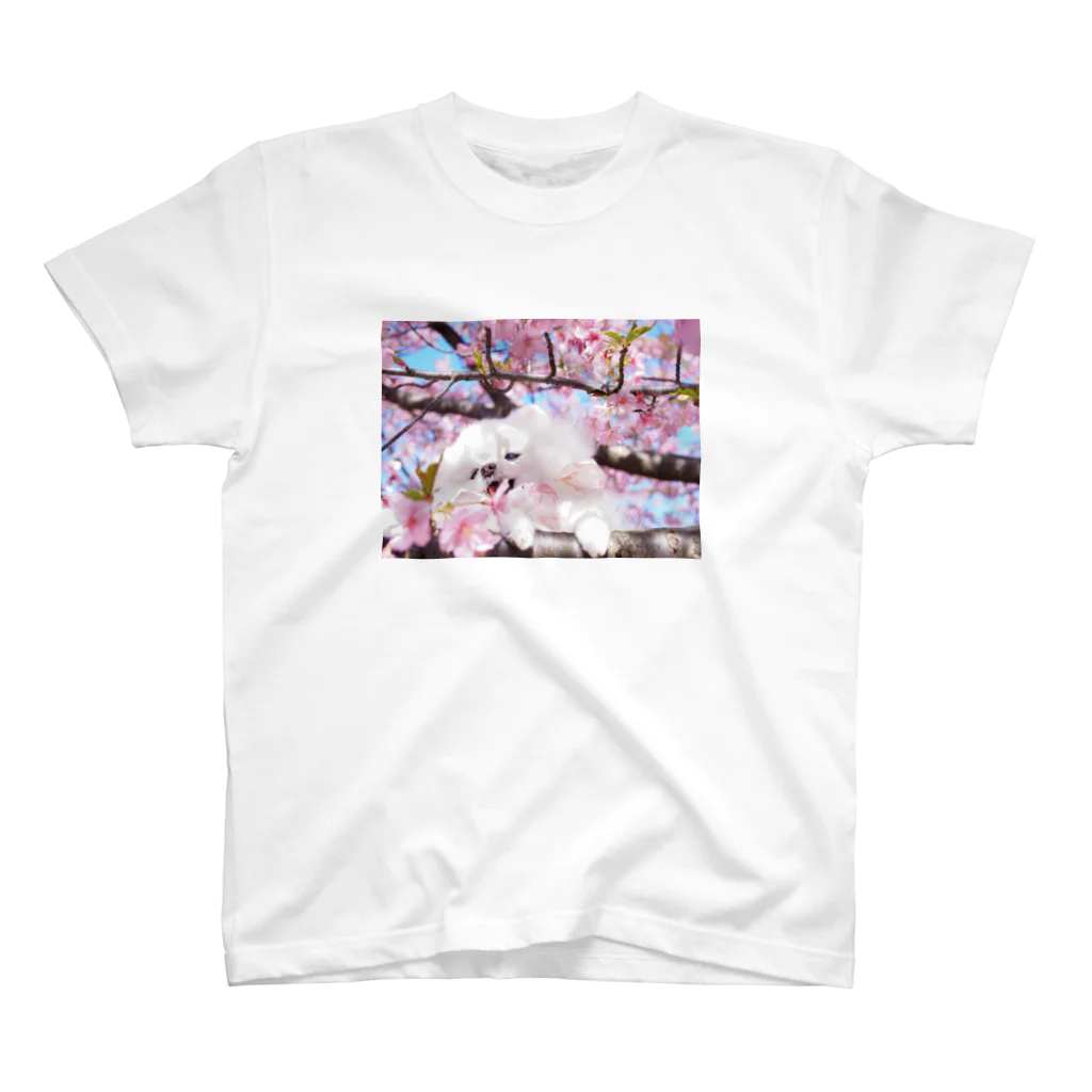 おちめちゃまちゃんの春のちめこちゃん Regular Fit T-Shirt