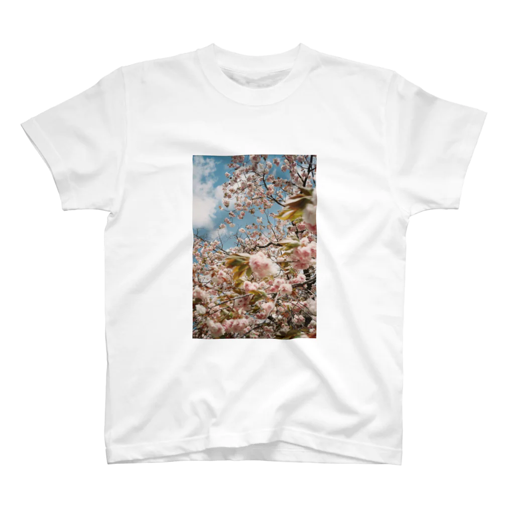 ginga_haraのﾀﾏﾋﾞで撮った桜の写真です スタンダードTシャツ