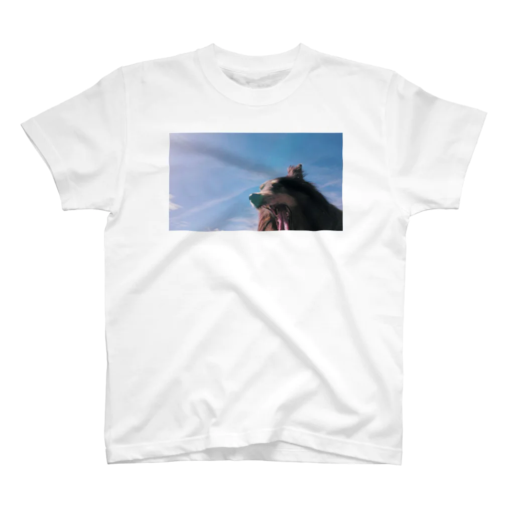 _zzyo_oyzz_のあくびする愛犬Tシャツ（前） スタンダードTシャツ