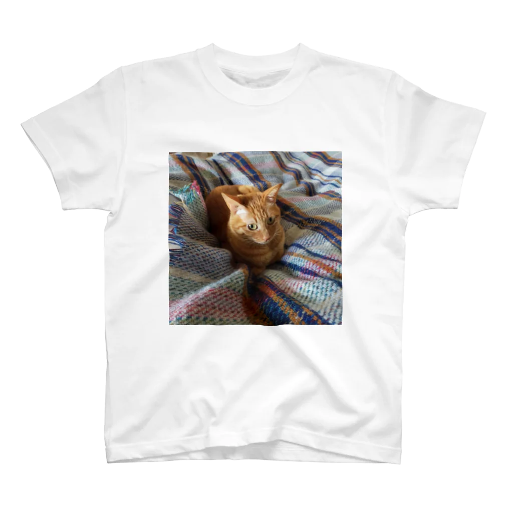 ごま猫の店のお布団大好きごま Regular Fit T-Shirt
