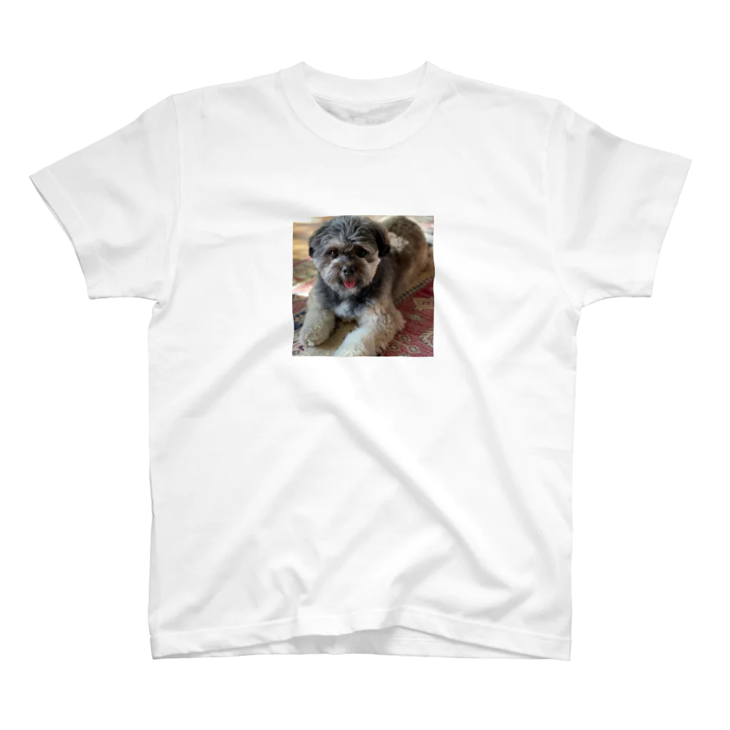 noricrmの愛犬アンチョビ スタンダードTシャツ