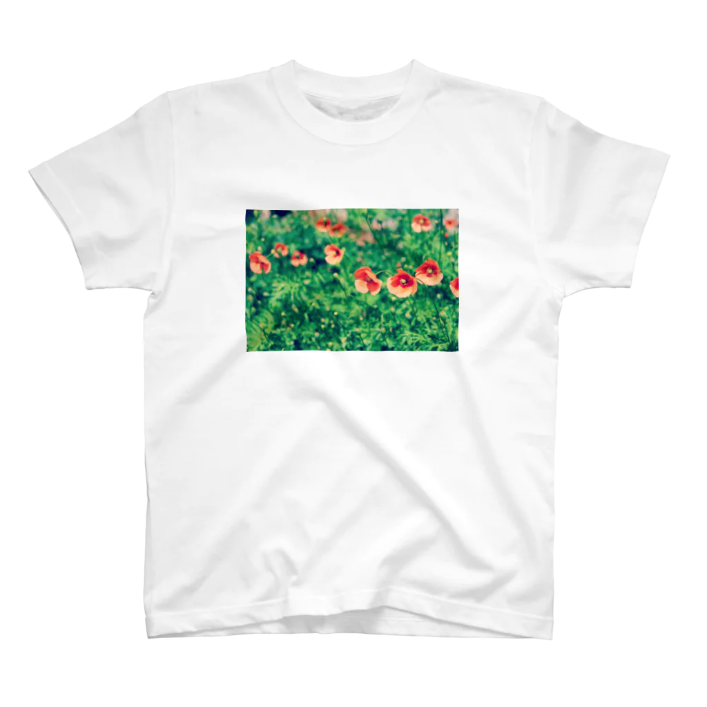 如夢幻の晴れのポピー Regular Fit T-Shirt