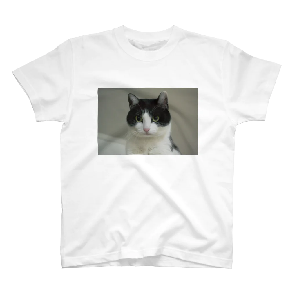 reach1994のはちわれ猫🙀さぶ Regular Fit T-Shirt