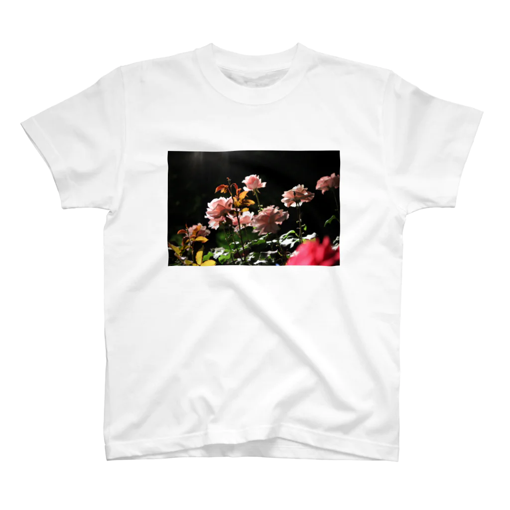 如夢幻のRose in the dark Regular Fit T-Shirt