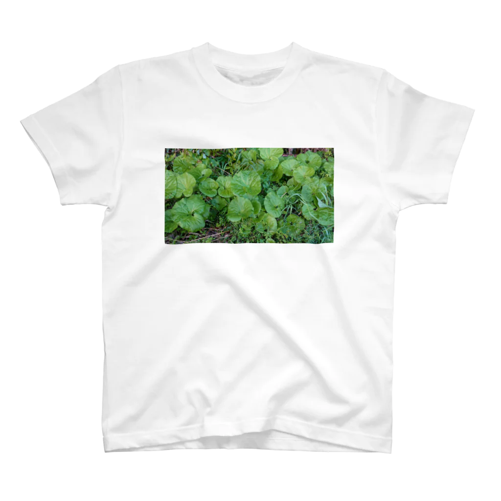 yuaomaの可愛い葉っぱさん Regular Fit T-Shirt
