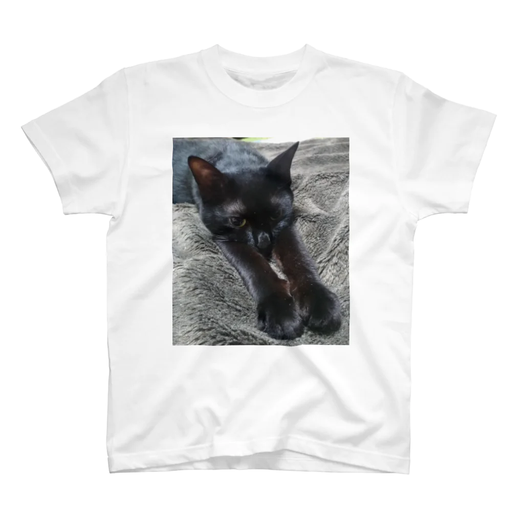 Tottemokanataの黒猫ぱんち スタンダードTシャツ
