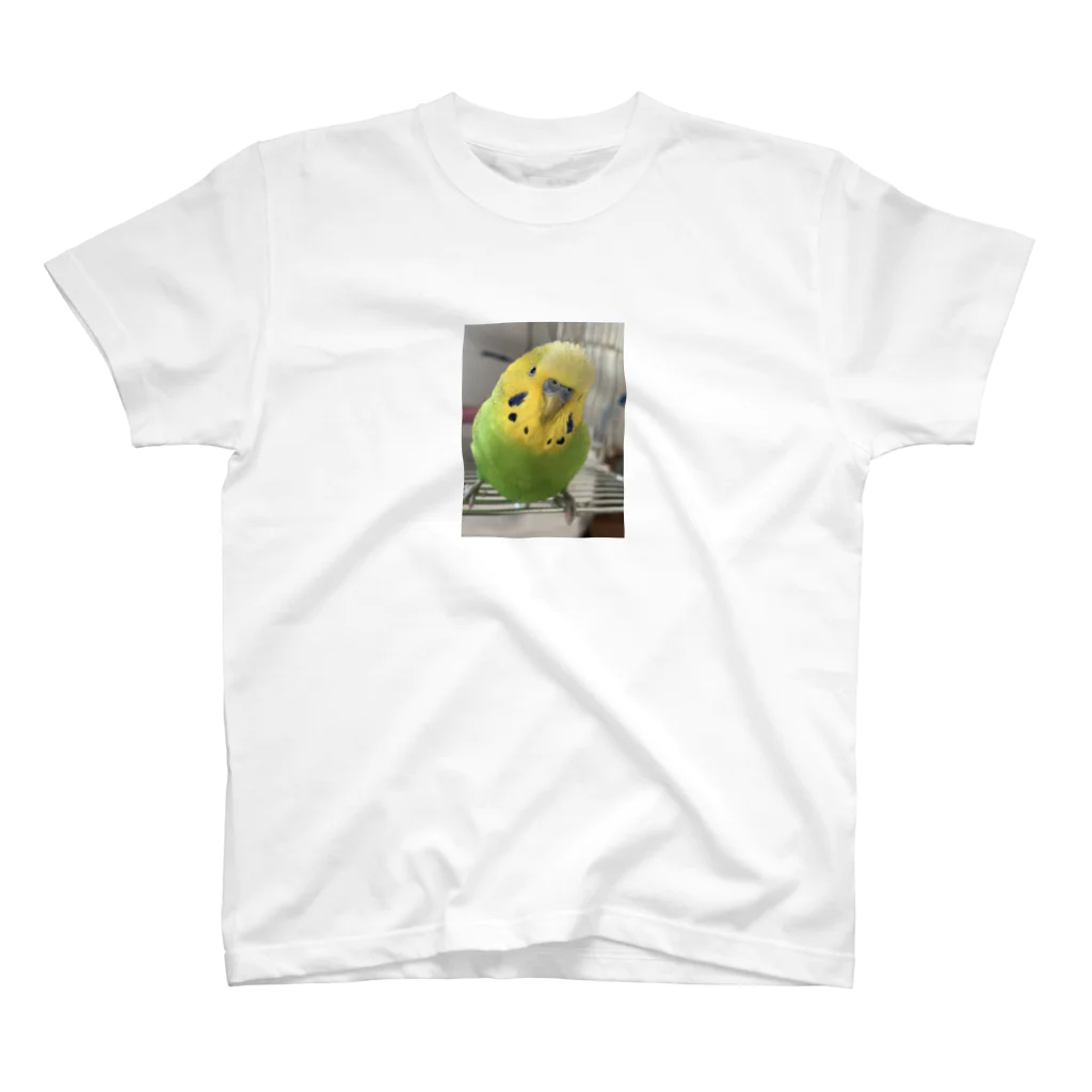 セキセイインコのきぃちゃんshopのセキセイインコ1 Regular Fit T-Shirt