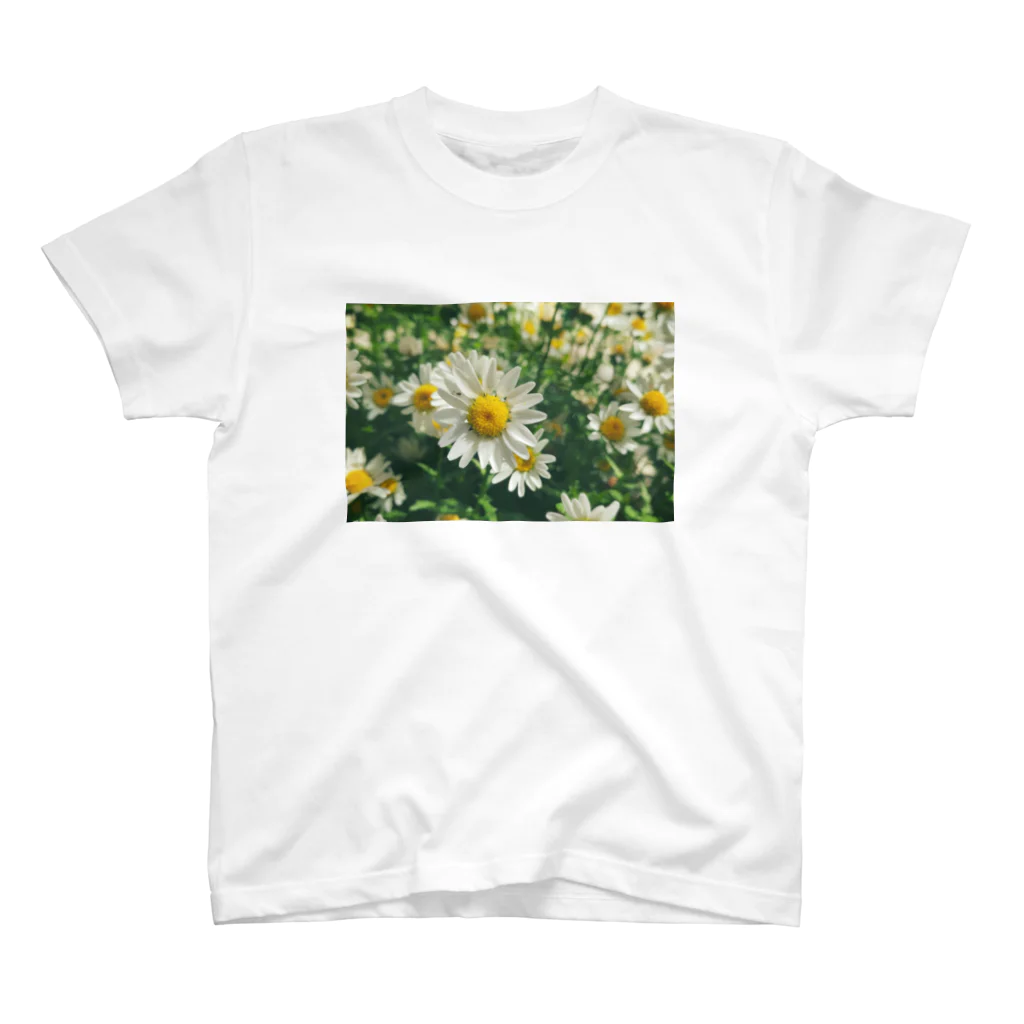 花畑写真館🌷の#1  白いお花 スタンダードTシャツ