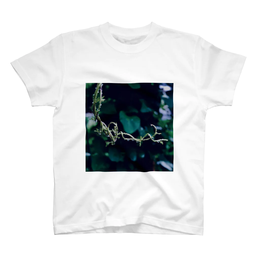 AwesomeのVine plant  スタンダードTシャツ