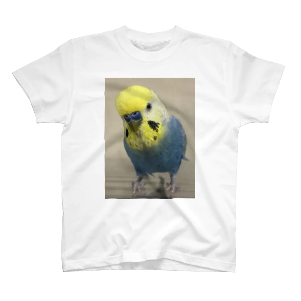 yukaのセキセイインコのボーちゃん スタンダードTシャツ