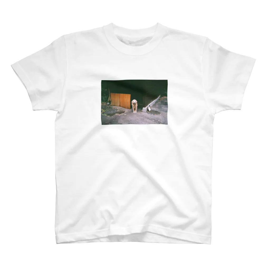 Filmの犬 スタンダードTシャツ