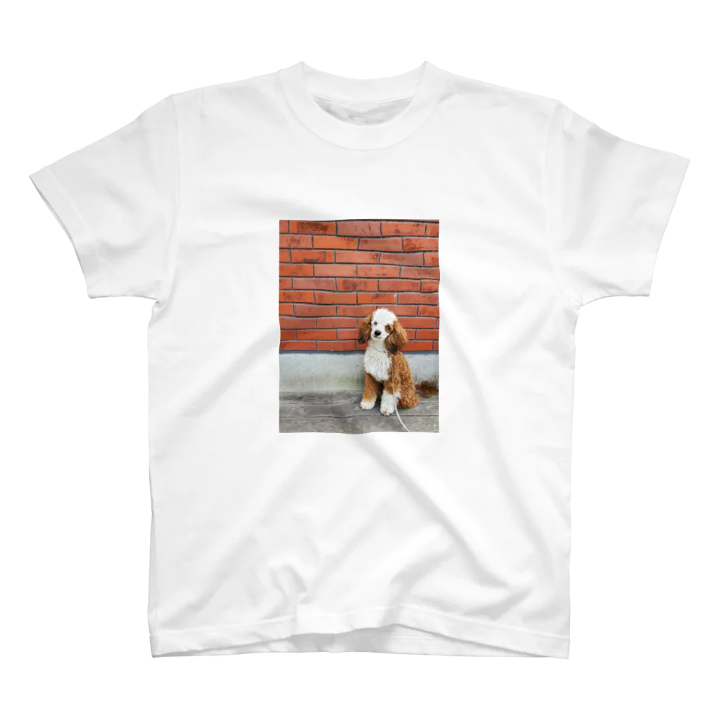 catとdogのバンクシーな犬 スタンダードTシャツ