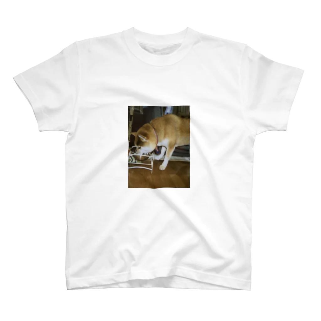 723の食べる犬 スタンダードTシャツ