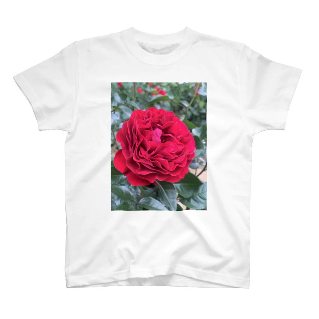 ｍａｔａ－ｔａｂｉの与野本町の薔薇 Regular Fit T-Shirt