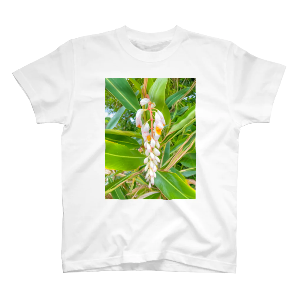 mizuphoto galleryの月桃 スタンダードTシャツ