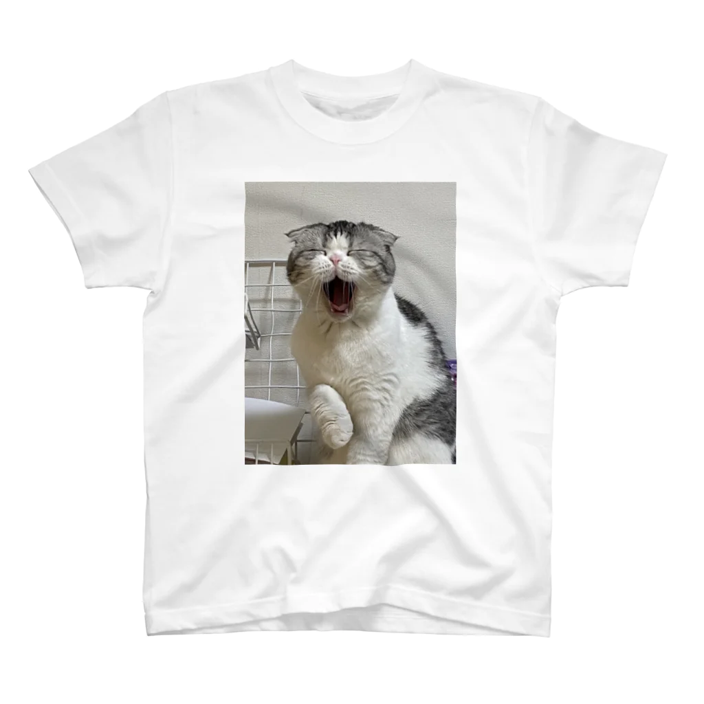 No Cats No LifeのMee3 スタンダードTシャツ