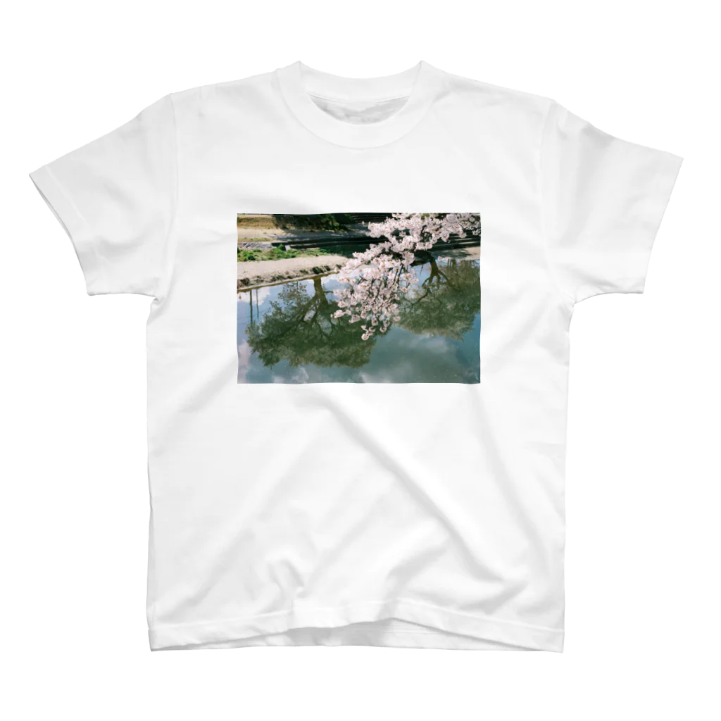 フィルムカメラのある生活の花のある生活 #02 スタンダードTシャツ