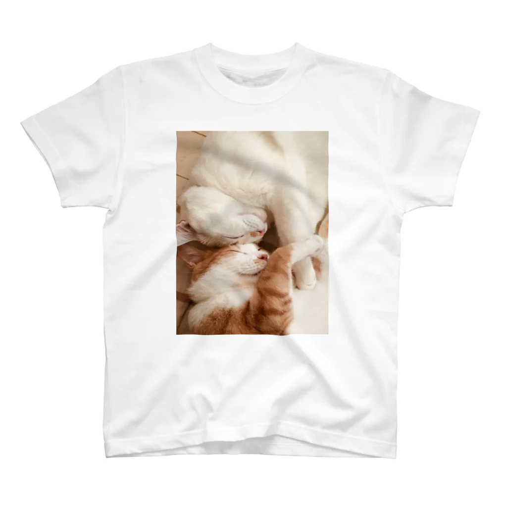仲良しニャンコ屋　ネコの仲良しニャンコ Regular Fit T-Shirt