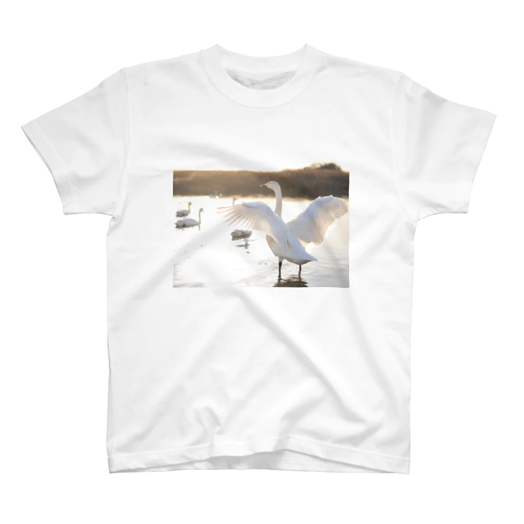 HIRO-100の白鳥 スタンダードTシャツ