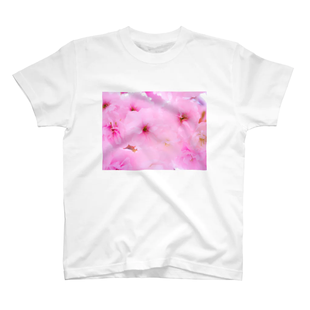 nu.のdouble cherry blossom スタンダードTシャツ