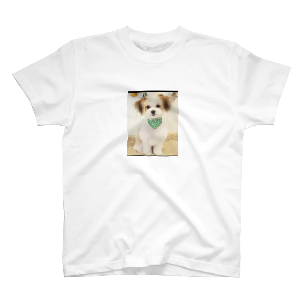 Honey～愛犬バカ～の愛犬クゥのいろいろ スタンダードTシャツ