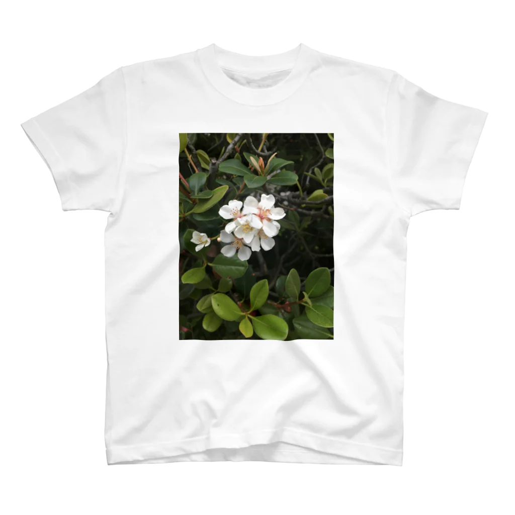 除夜の公園の花 スタンダードTシャツ