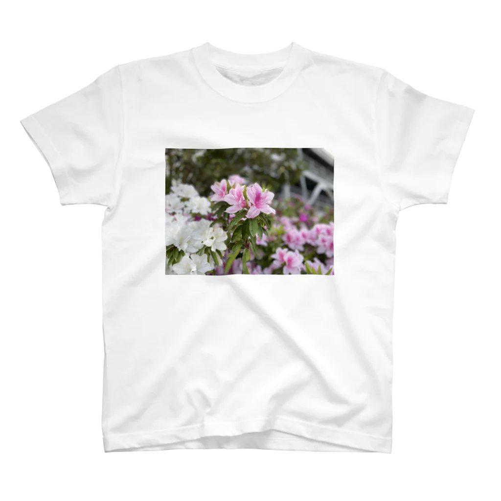 °だるまの花 スタンダードTシャツ