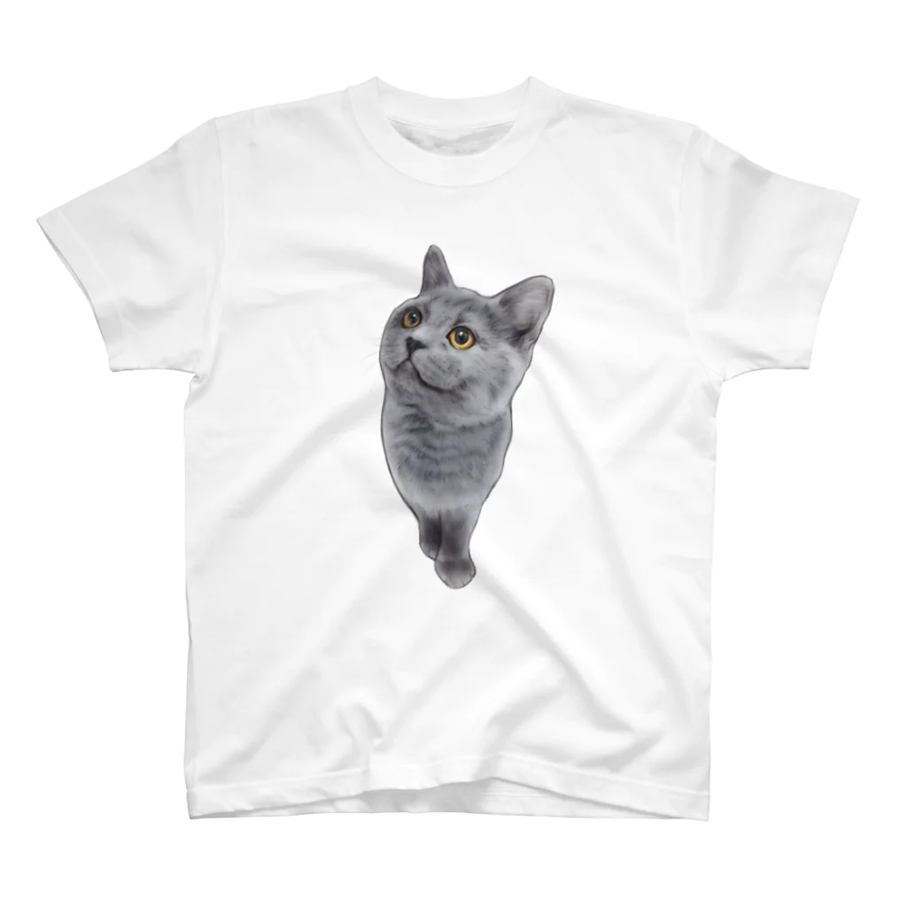 かぁこの子猫様ブリティッシュ スタンダードTシャツ