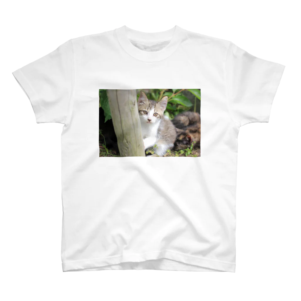 kawaii-keiのそっと様子をうかがう猫ちゃん Regular Fit T-Shirt