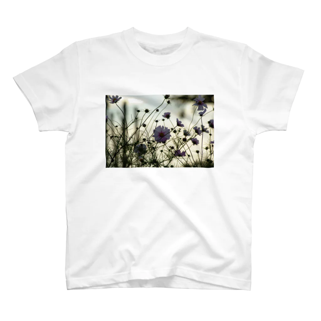 upafishの秋桜 スタンダードTシャツ