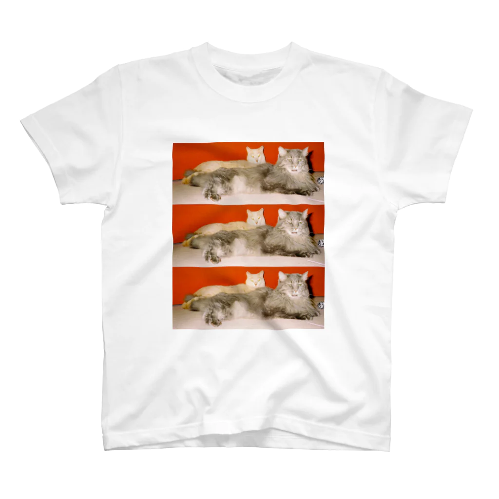 kairi nagashimaのmycats スタンダードTシャツ