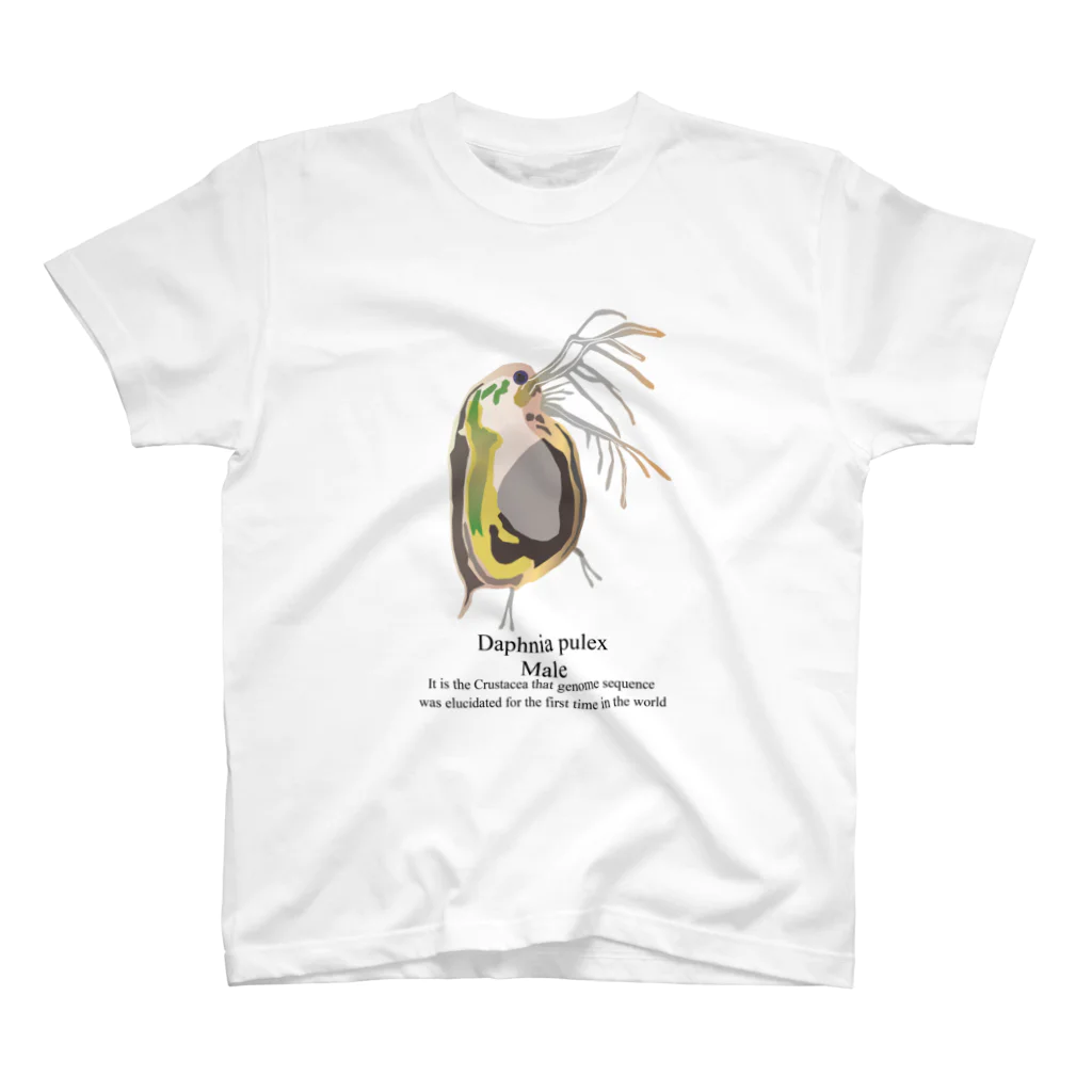 HIRAMATAの真面目なミジンコ♂ スタンダードTシャツ