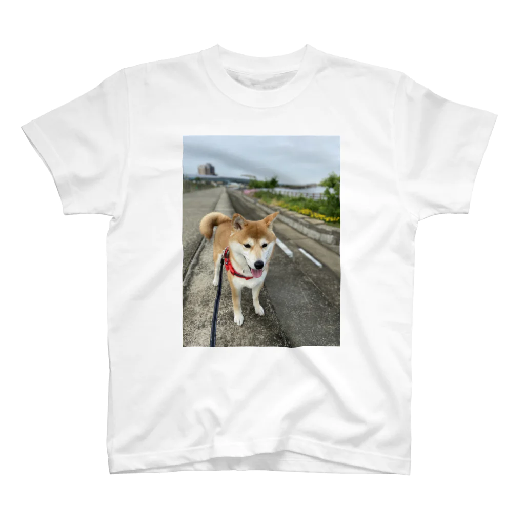 笛ガムのお散歩犬 スタンダードTシャツ