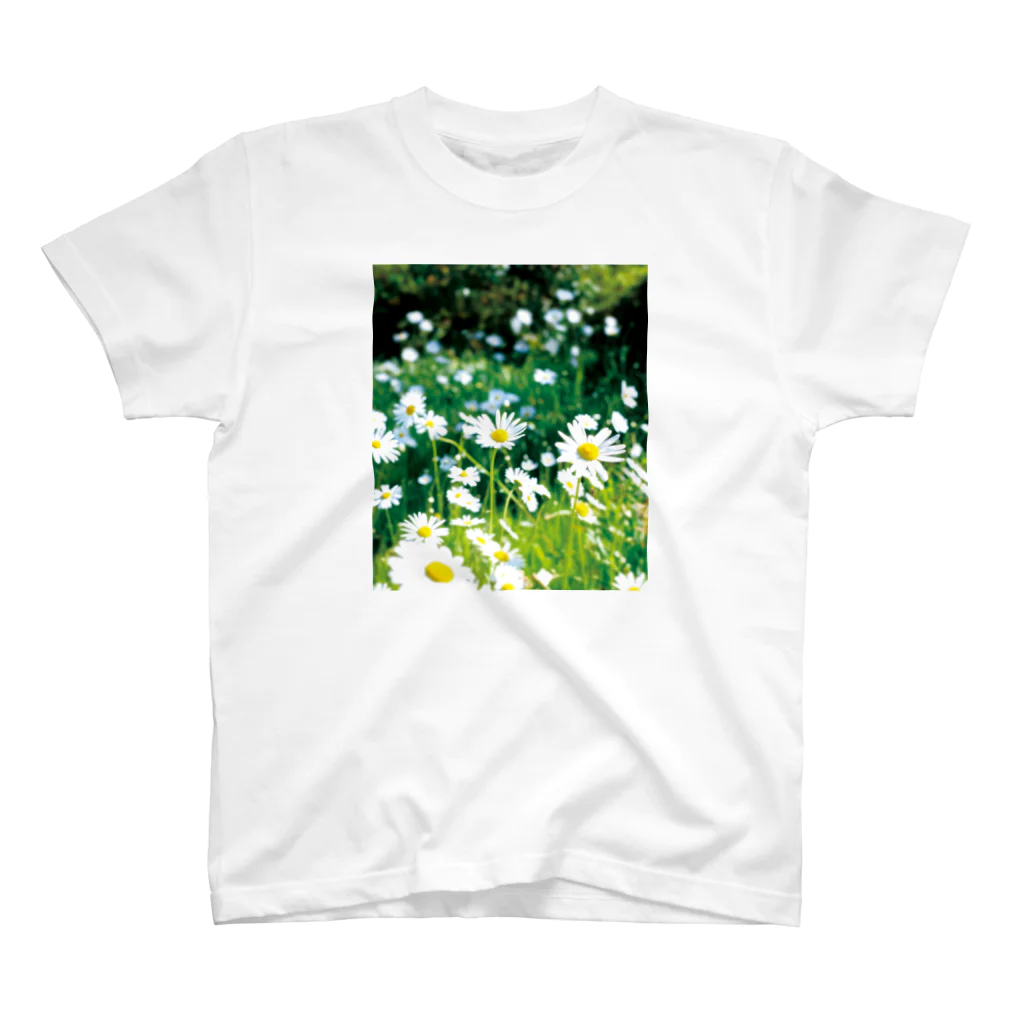 akane_art（茜音工房）の癒しの風景（シャスタデイジー） Regular Fit T-Shirt