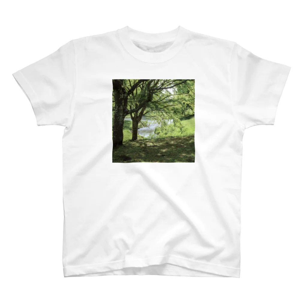 akane_art（茜音工房）の癒しの風景（樹木） スタンダードTシャツ